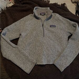 Cropped Patagonia Heather Gray Fleece Jacket